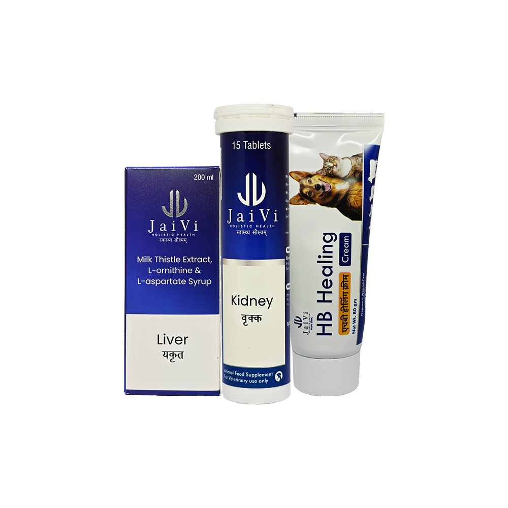 Buy Liver & Kidney Supplement to Get Benefits Worth Rs 420 (HB Healing Cream)